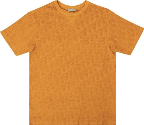 dior oblique transparent shirt|orange Dior t shirt.